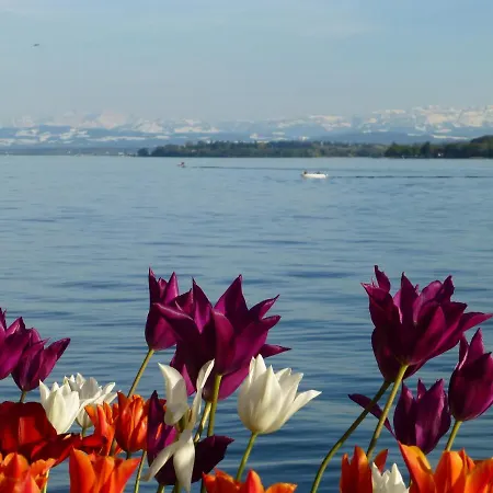 Bodenseetraum Am Heiligenberg Accommodatie bij particulieren