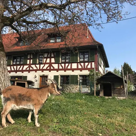 Bodenseetraum Am Heiligenberg * Salem (Baden-Wurttemberg)